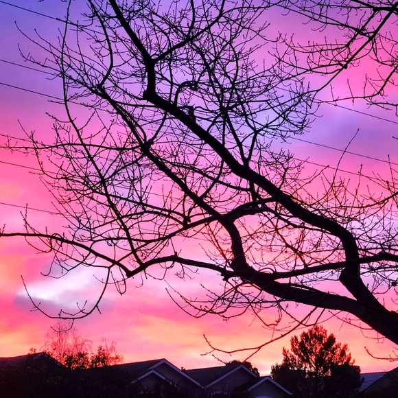 Meet Your Posher 🖤 divynestock (Ivy) - Picture 8 of 8